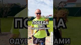 Это ПОБЕДА над Одуванчиками 🌼 #надаче