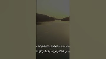 { قل نار جهنم أشد حراً لو كانوا يفقهون } سورة التوبة / القارئ محمد صيام | غزة - فلسطين