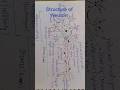 Structure of Neuron # most important for neet exam #hindi #music