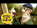 サタデー・ナイト・ショーン/ひつじの芸術家[ひつじのショーン | シーズン1]