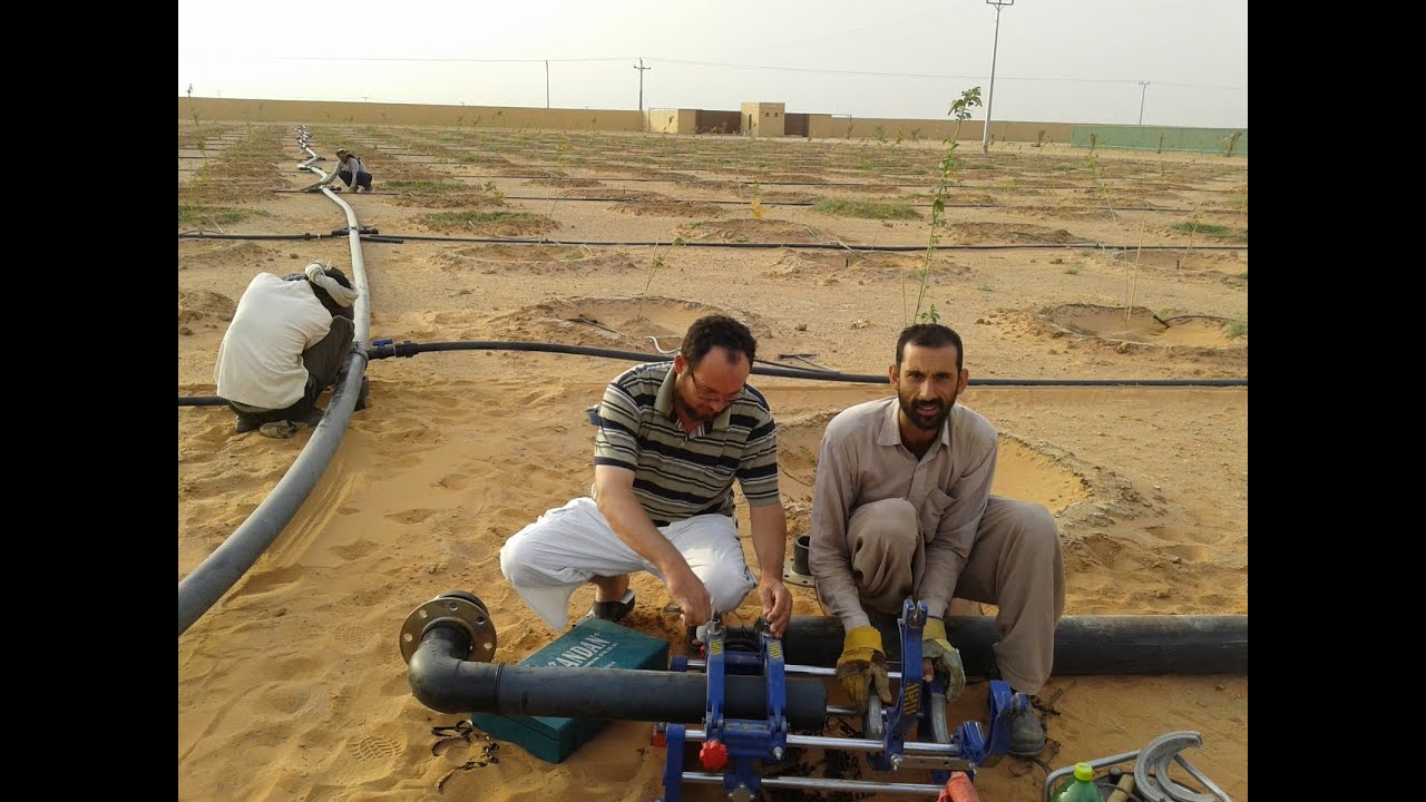 اراضي الواحات البحرية وملفات التقنين