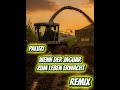 Paluzi - wenn der jaguar zum leben erwacht /Remix)