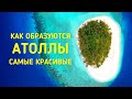 Что такое АТОЛЛ? Как образуются атоллы.