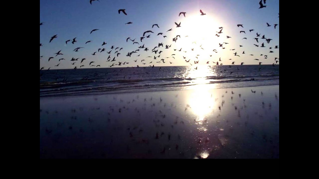 I Wanna Fly - (Los Monjes Budistas)
