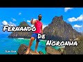 Fernando de Noronha - Ilha Tour - 2021