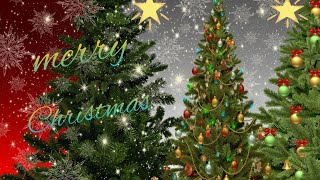 merry Christmas #shorts  video /and wishes music/wish you merry Christmas...