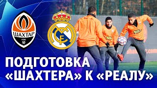 Shakhtar Champions League pre-match training session 