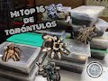 Mi Top 16 de tarántulas