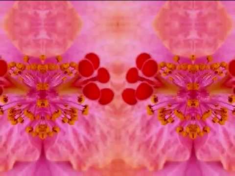 get down to the real soul (Sophie's Lullaby by Phil Cunningham & Aly Bain 2000)
