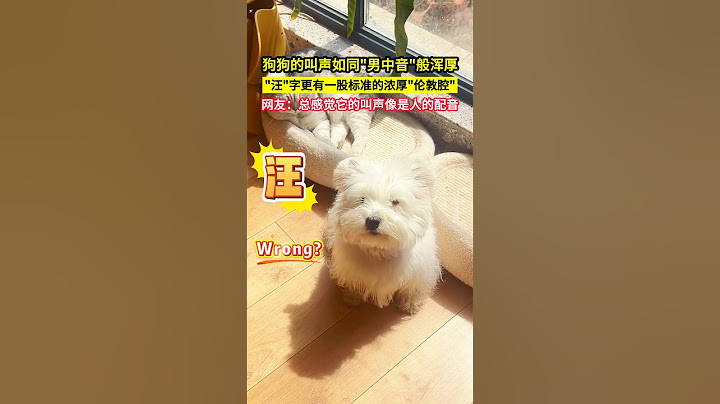 狗狗的叫聲如同"男中音"般渾厚，"汪"字更有一股標準的濃厚"倫敦腔"！網友：總感覺它的叫聲像是人的配音！#shorts#萌宠