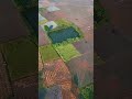 ড্রোন শট ভিডিও 🙂 #drone #shortvideo