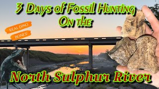 3 Days Fossil Hunting The North Sulphur River  Finding REAL Mosasaurus Bones!