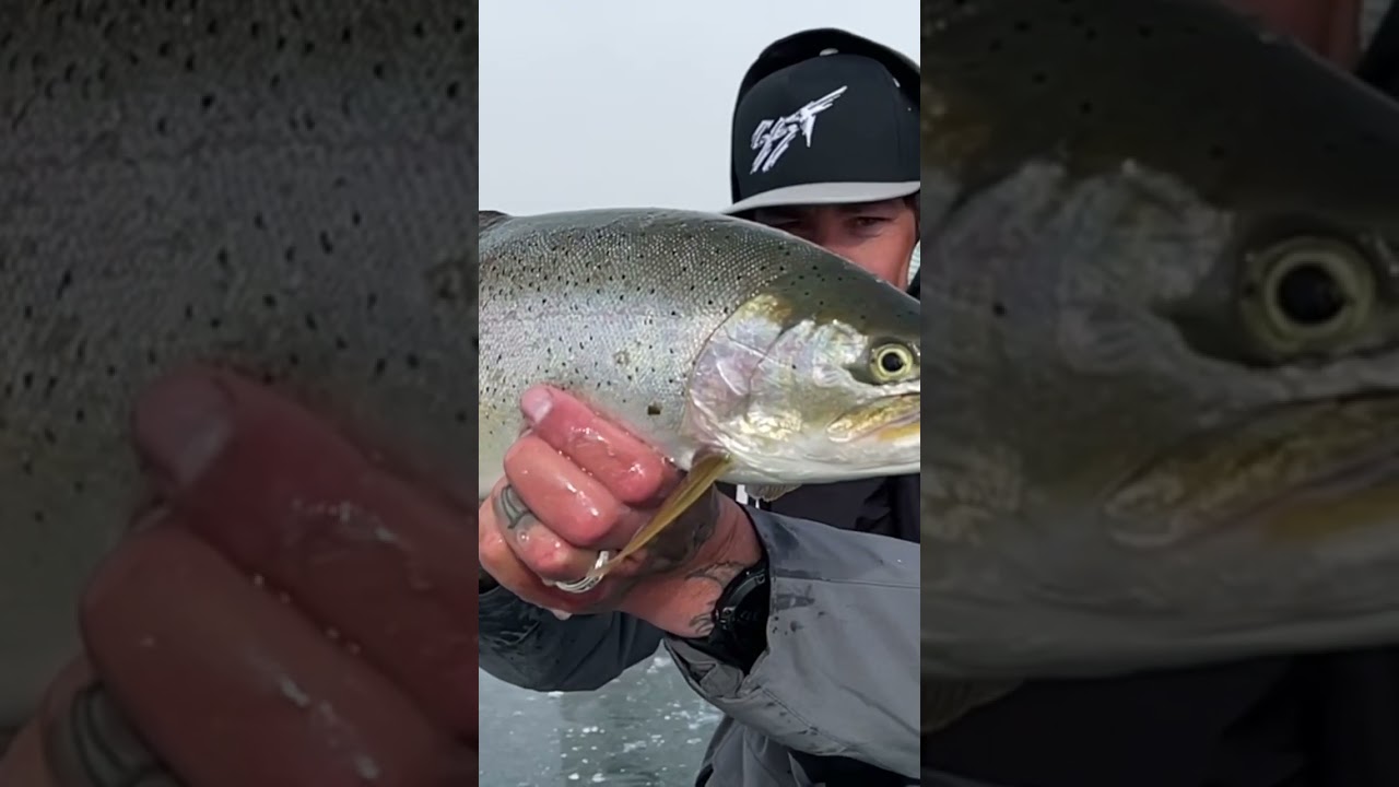 Ice anglers getting busy 🔨 