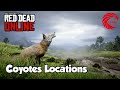 Coyotes rdr2 Online Locations - Red Dead Online Coyotes Location Guide