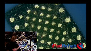 iPhone Error 4013 Solved--by NAND/HDD chip repair via NaviPlus Pro 3000 Tool