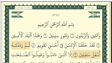 سورة التين مكتوبة كاملة بصوت وديع اليمني