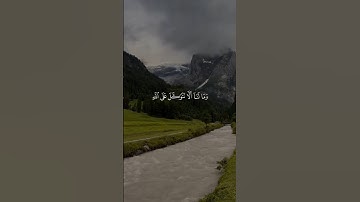 #القرآن_الكريم #قرآن #المصحف #تلاوة_خاشعة #فارس_عباد