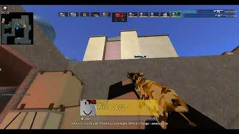 exposing an counter blox hacker lol