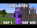 Minecraft 100 Days Stereotypes...