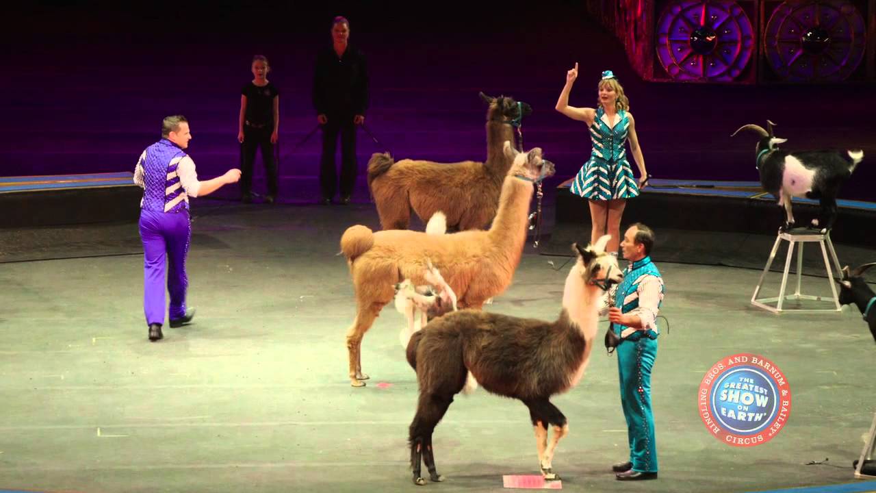 Ringling Bros. Presents LEGENDS - Our Animal Performers! - YouTube