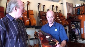 A Different Viola from Animato Strings