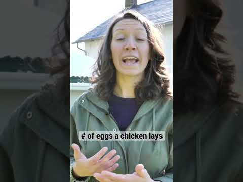 Video: Lägge multituberkulationer ägg?