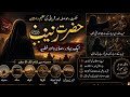 10 June 2Hazrat Zainab R ۔A Pain full words in krbala  the greeat Ladiy of Islam 026