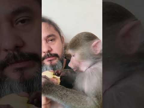 Хорошо живётся нам,