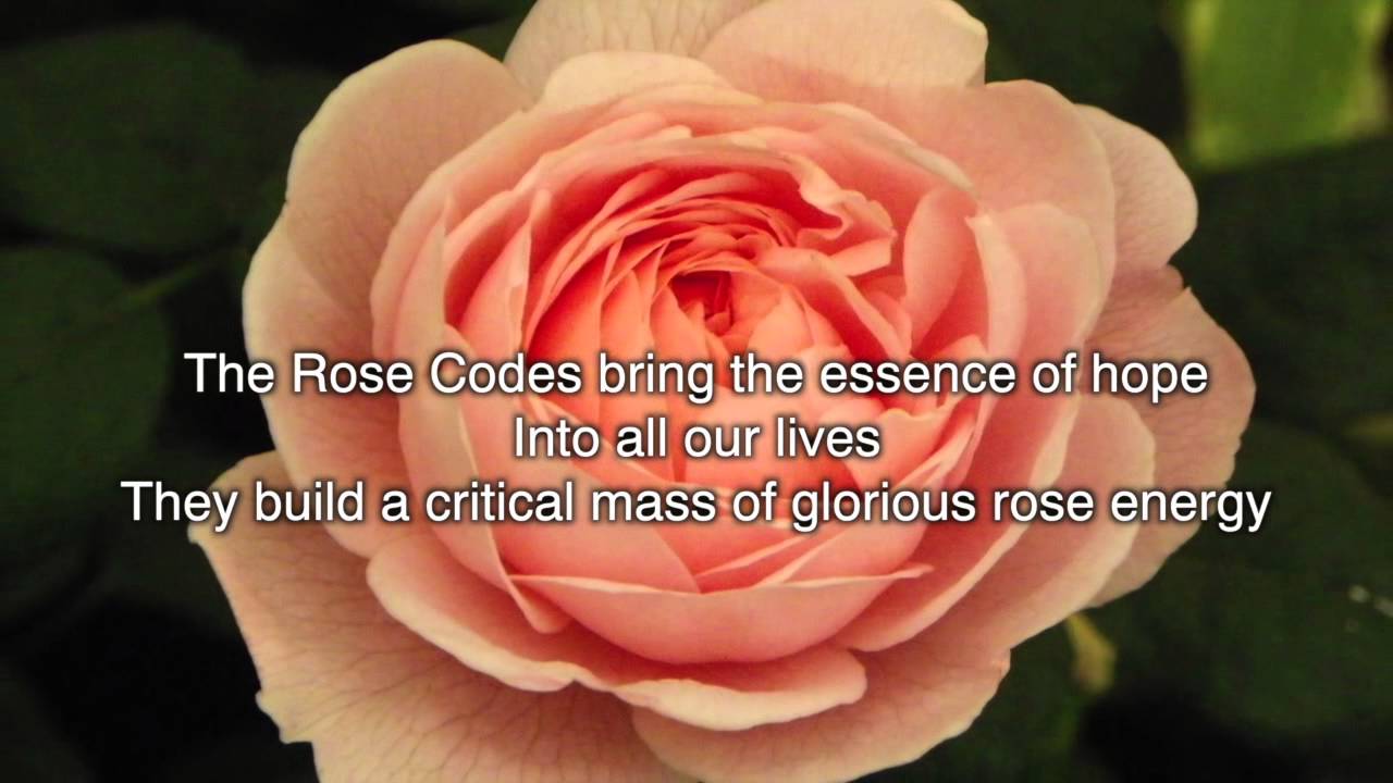 THE ROSE CODES by Cris Henderson YouTube THE ROSE CODES by Cris Henderson YouTube