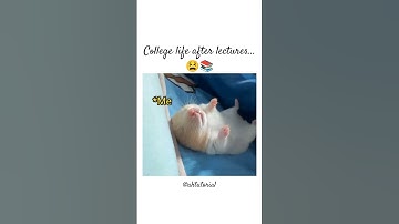 College Life After Lectures 😴😂 Relatable #shorts #collegelife