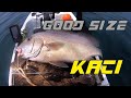 Trip Solo Kayak- KACI Good size