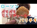 ローソン パリチキ ローソン パリチキ