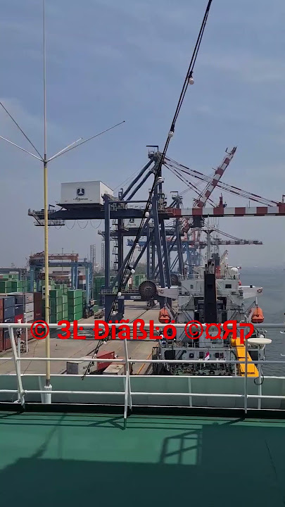 Starlink Indonesia 📡 🇮🇩 Maritim #starlink #shorts