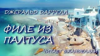 картинка: Филе из Палтуса