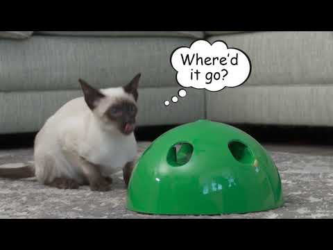 Video: Dit Zijn De Beste Kattenspeeltjes Om Jachtprooien Te Simuleren