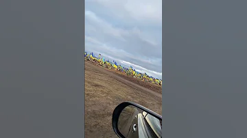 Кладбище украинских военных солдат 🇺🇦😭
