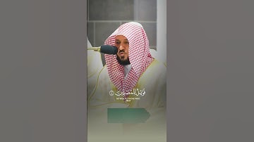 سورة الماعون | الشيخ ماهر المعيقلي.