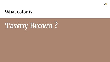 Tawny Brown color #ab856f hex color - Brown color - Cool color ab856f