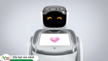 [TVC-VDS] Cấu tạo của robot Sanbot