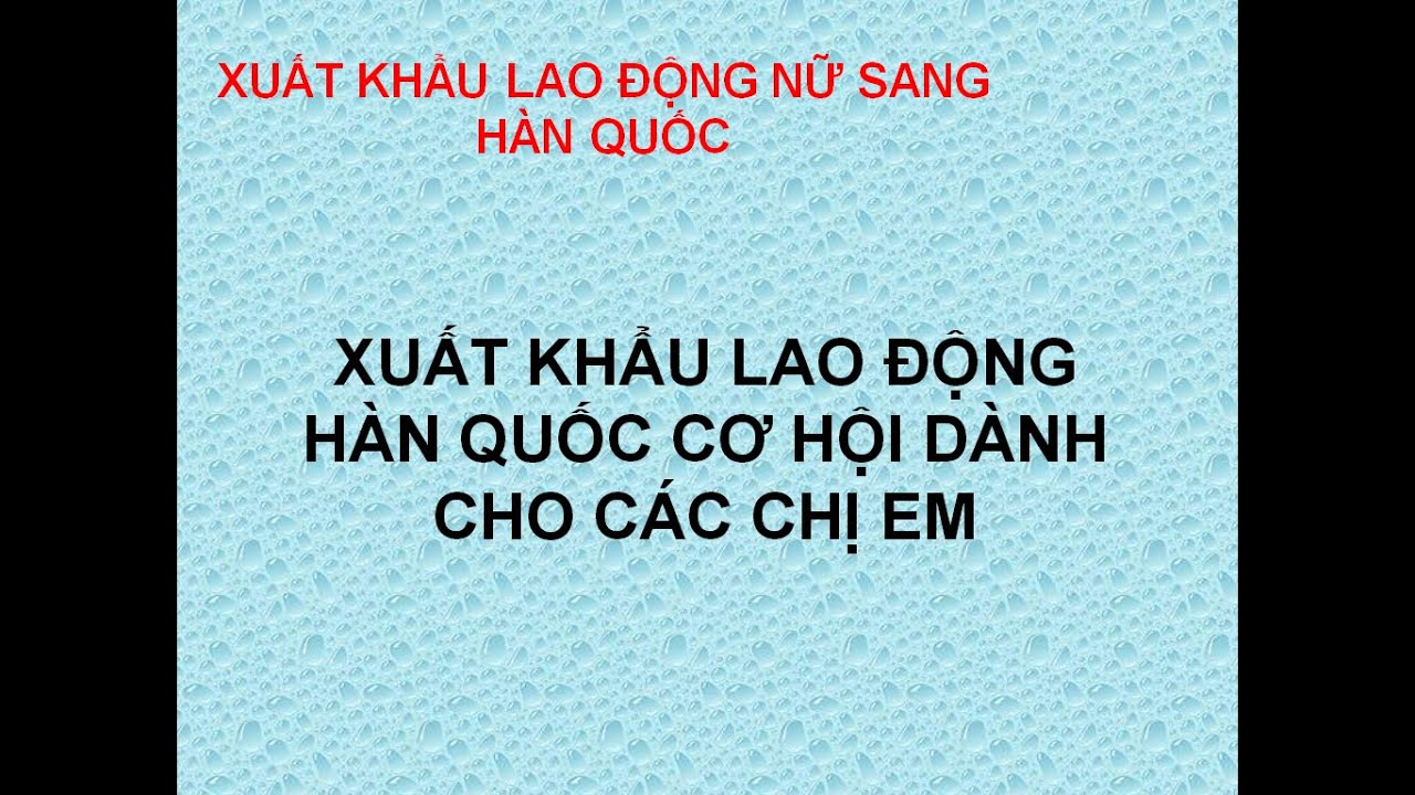 Danh sách 12 công ty xuất khẩu lao động uy tín nhất tại Gia Lai