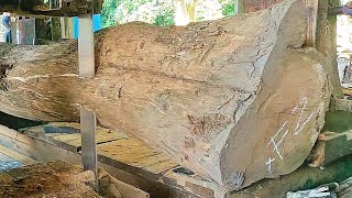 sawing hard teak wood trunks full of old and beautiful grain