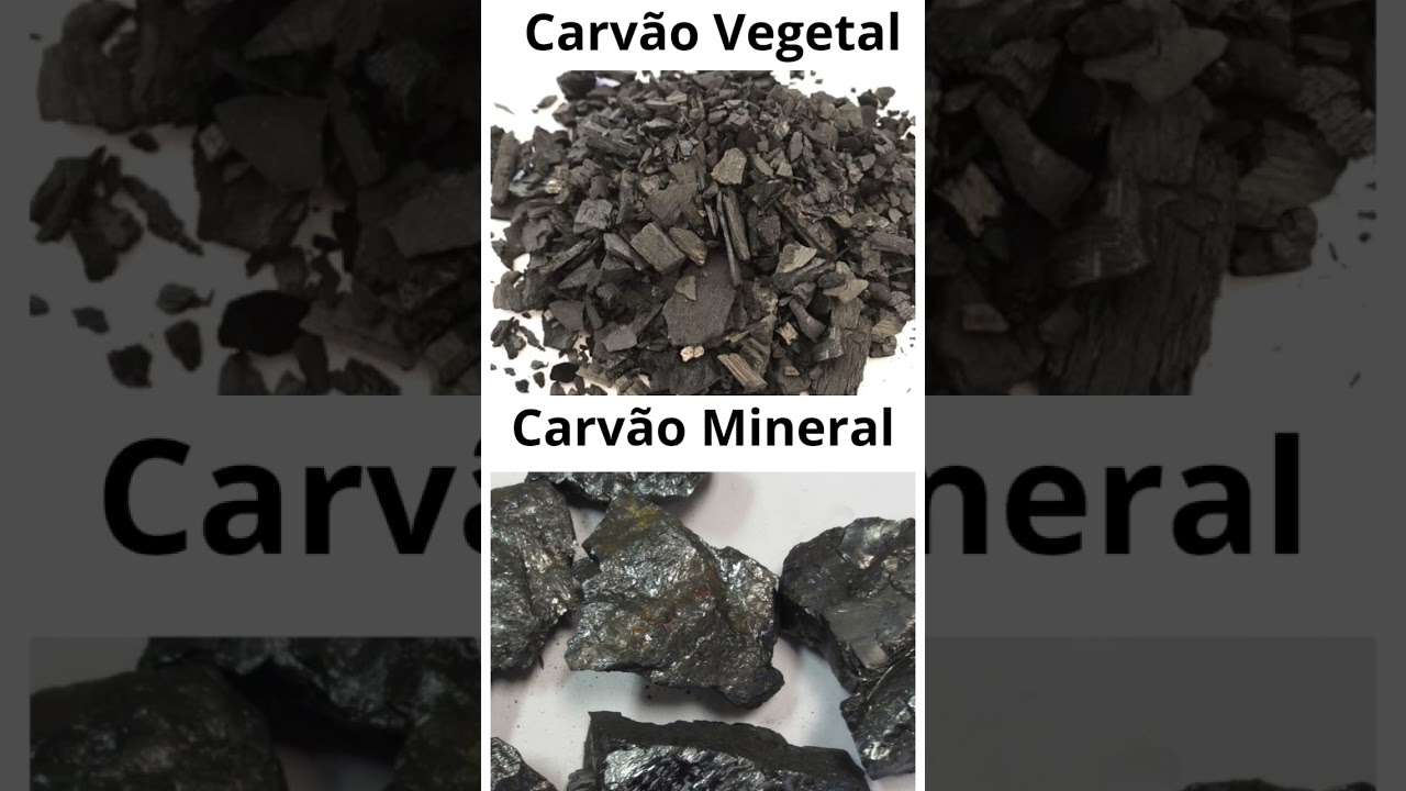 CARVÃO MINERAL OU CARVÃO VEGETAL