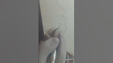 Fossil Fish air scribe fun - #shorts