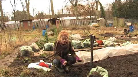 Winter work on the allotment with Alys Fowler