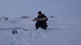 Эти места , всегда радуют крупной щукой ! Рыбалка с комфортом !