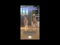 Natural Bridge Zoo giraffe calves located after extensive search