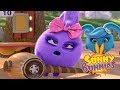 Videos For Kids | NUTS FOR NUTS | SUNNY BUNNIES | Funny Videos For Kids