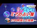 ミアに3700枚分占ってもらった結果…【ホワイトアウトサバイバル / whiteout survival】