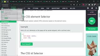 WEB DEVELOPMENT | CSS | CLASS #3