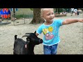 ✔ VLOG Девочка – Сюрприз Зоопарк Видео для детей Ярослава кормит животных Серия 6 ✔